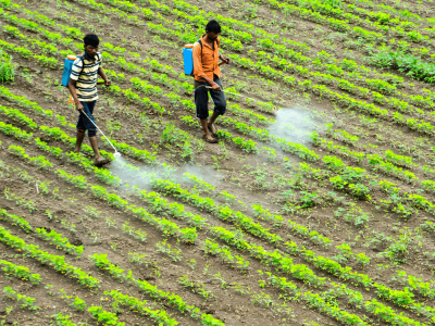 1.-8-Uses-of-Pesticides