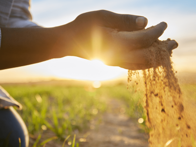 10.-Stewardship-FICCI