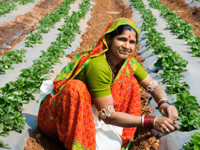 6.-Policy-and-Advocacy