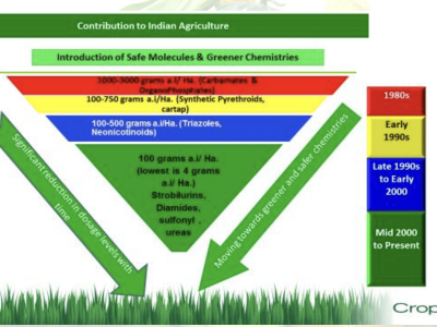 8. Pyramid National Emergencies FICCI