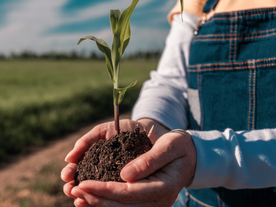 9.-Regulations-Policy-Advocacy