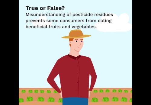 Pesticide Facts