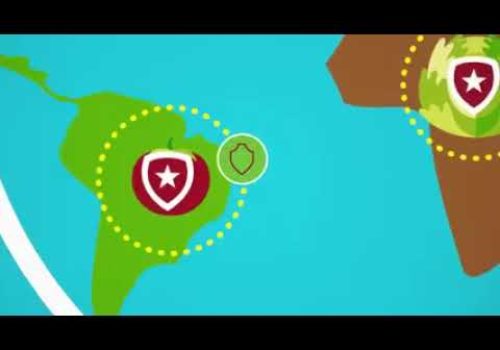 Pesticide Residue and Food Safety