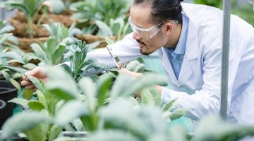 plant medicine biology scientist research concept, outdoor agricultural technology laboratory field