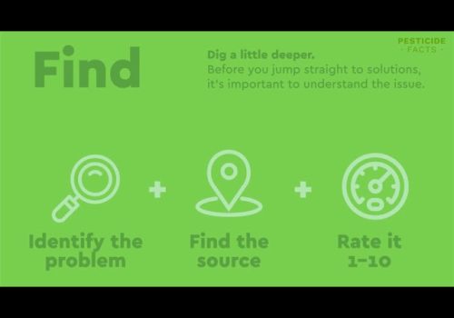 Pesticides in the Garden