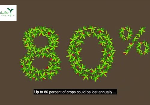 Integrated Pest Management tools keeps crops safe.